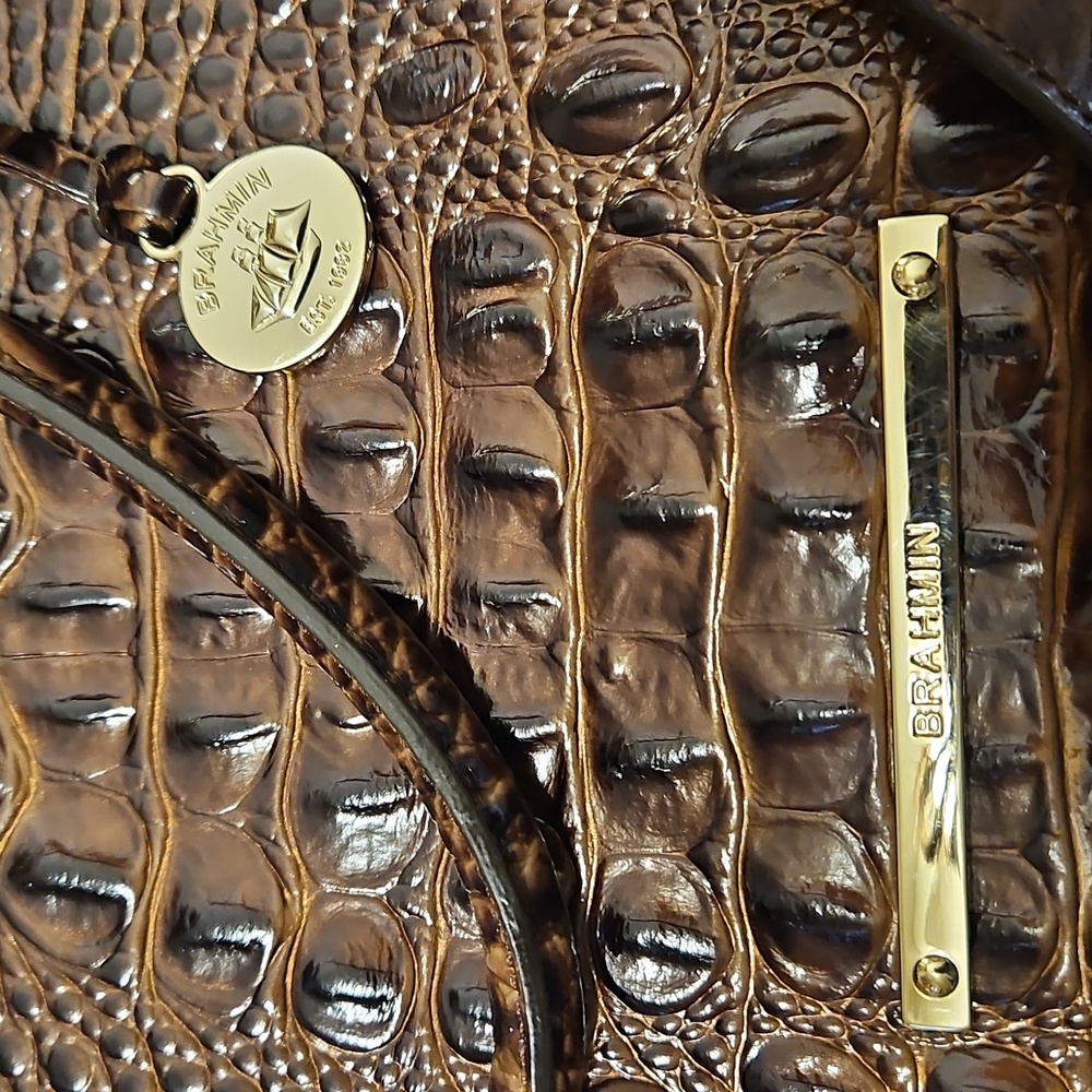 Brahmin Chesnut Finley Carryall - Picture 2 of 4